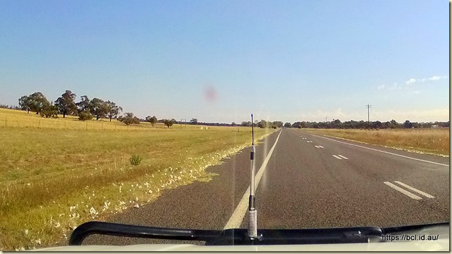 Cotton by the side of the road