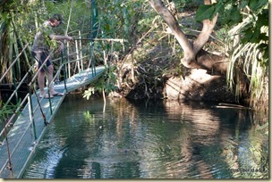 Timber Creek Croc Feeding