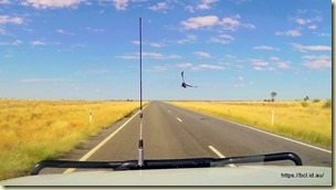 Wedgetail gets airbourne