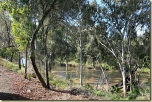 Moree Tourist Park