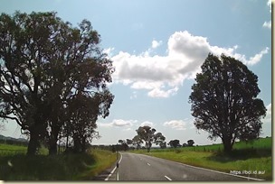 Between Lithgow and Gulgong