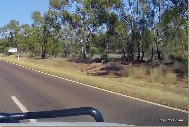 Emu Crossing