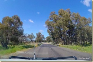 Between Trangie and Cowra