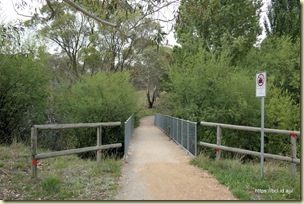 A morning walk along side Lake Jindabyne