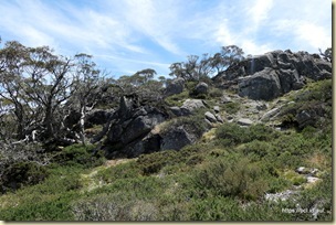 Charlotte Pass Kosciuszko National Park