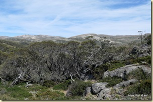 Charlotte Pass Kosciuszko National Park
