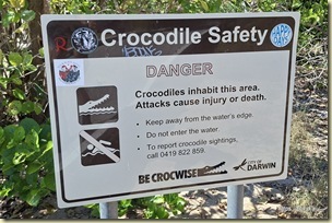 The Mangrove Boardwalk