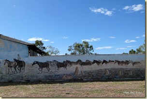 Camooweal