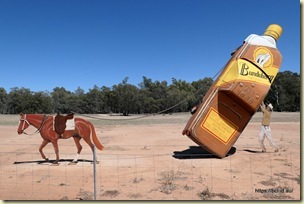 Utes in the Paddock Condobolin