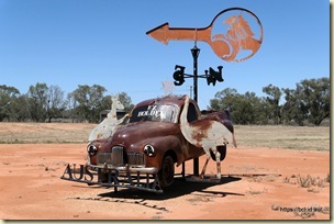Utes in the Paddock Condobolin