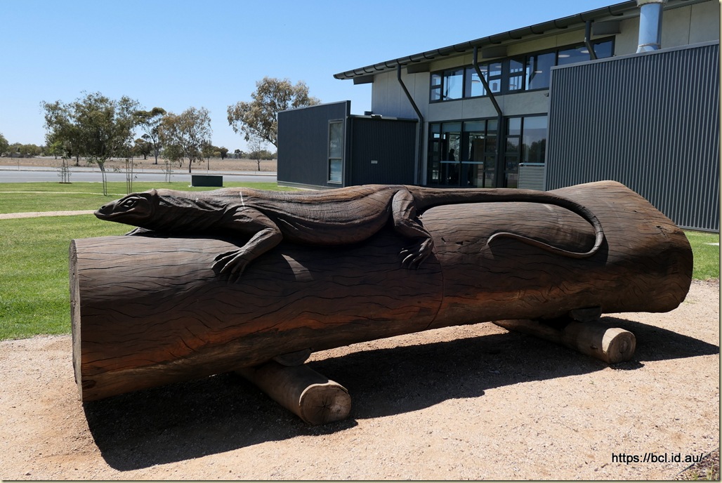 Goanna at Condobolin Visitor Centre
