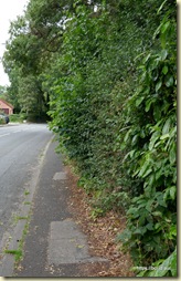 Macclesfield
