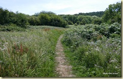 Leckhampton Hill 