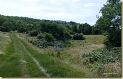 Leckhampton Hill 
