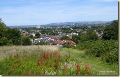 Leckhampton Hill 
