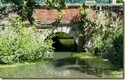 Cheltenham Pittvillle Park
