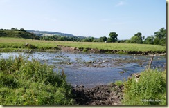 Ancrum Walk