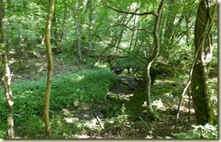 Ancrum Walk