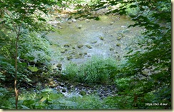 Ancrum Walk