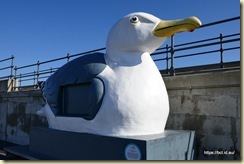 Folkestone Harbour
