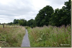Macclesfield Canal Walk
