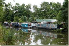 Macclesfield Canal Walk