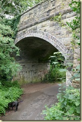 Macclesfield Canal Walk