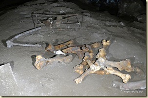 Engelbrecht Caves
