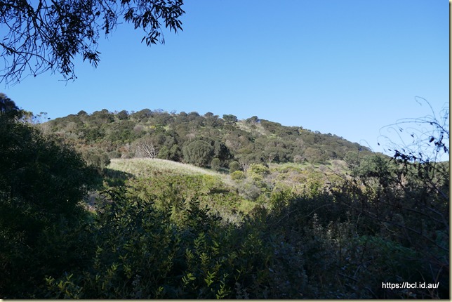 Mount Schank