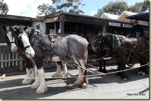  Sovereign Hill Ballarat