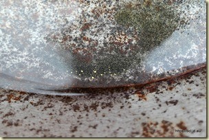 Sovereign Hill Gold Panning