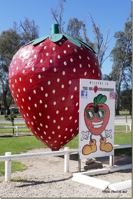 The Big Strawberry